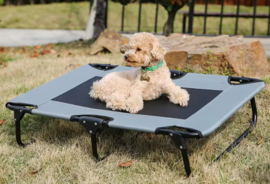 Topmast Hondenstretcher Outdoor Small 89x61 cm- Gratis verzending