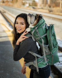 K9 Sport Sack Kolossus Big Dog Carrier & Backpack Green- Rugzak Voor Grote Honden- Gratis Verzending