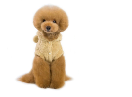 Honden Fleece Jas met Oortjes Beige - Maat 2XL - Ruglengte 40 cm - In Voorraad