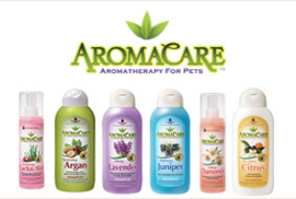 Aromacare Cactus Aloe Shampoo 2in1 -400ml- In voorraad