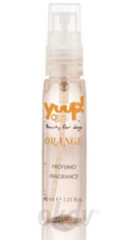 Yuup! Parfum Orange 30 ml - Kruidige Citrus