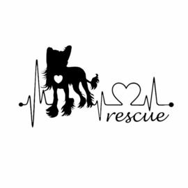 Auto bumper Sticker Chinese Naakthond Rescue