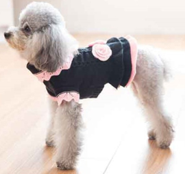 Honden jurk Gebreid - Medium - Ruglengte 24 cm - In Voorraad