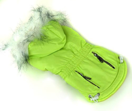 Hondenjas Color Groen XL- Ruglengte 30-33 cm  -In voorraad
