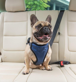 Hondenautogordel  Deluxe Safety Harness Petsafe - Gratis Verzending