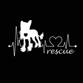 Auto bumper Sticker Chinese Naakthond Rescue