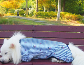 Hondenpyjama Zwart met Grijs 2XL voor de grotere hond- Ruglengte 65 cm- In voorraad