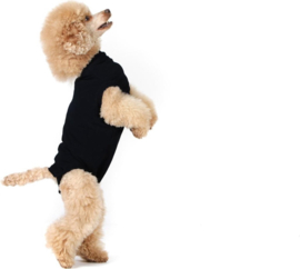 Operatie Pakje -Suitical Recovery Suit voor Honden Zwart - Gratis Verzending