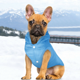 Honden winterjas Blauw Small- Ruglengte 25 cm - In voorraad
