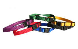 Puppyhalsbandjes setje 6 kleuren