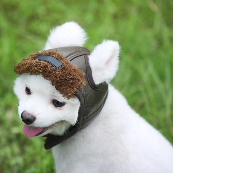 Geld rubber spoor atleet Hondenkleding voor grote honden - Pebbledogshop