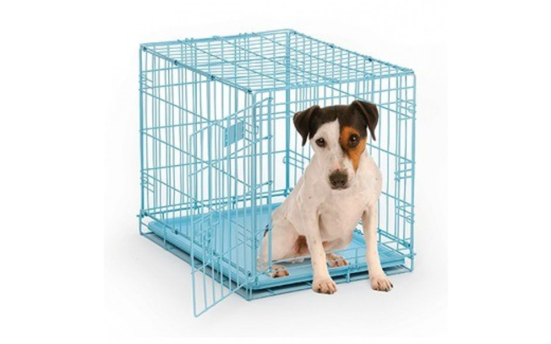 Pet edition. Стационарная клетка для собак. Клетка для маленьких собак. Клетки стационарные для собак кафель. Сломанная клетка для собак фото.