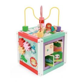 Houten Activiteitenkubus 5 in 1 Fisher Price.