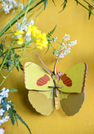 Fern Striped Butterfly