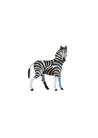 Wild Animal- Zebra