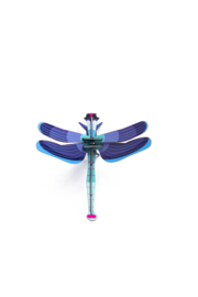 Sapphire Dragonfly