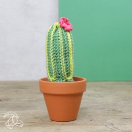 Haakpakket Cactussen