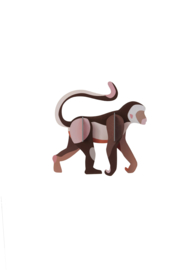 Wild Animals-Monkey