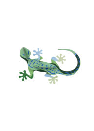 Wild Animals- Gecko
