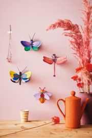 Blue Copper Butterfly