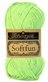 Softfun 2516
