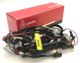 Lucas kabel boom , Triumph T140/TR7 1979/ 80 , 99-7056.