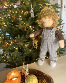 Wish doll Jip, for Eveline