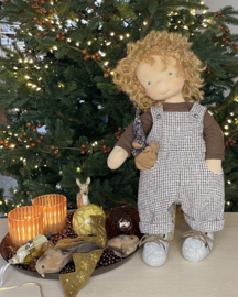 Wish doll Jip, for Eveline