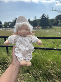 Kleine elf Willow