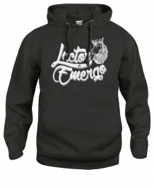 Hooded sweater uni - luctor et emergo