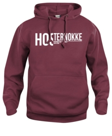 hooded sweater kids - hosternokke zeeuw wor je nie