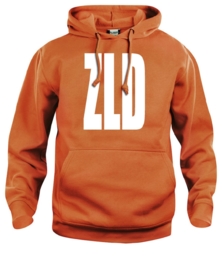 hooded sweater kids - zld