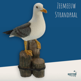 Zeemeeuw - op paal - 50cm