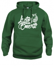 hooded sweater kids - luctor et emergo