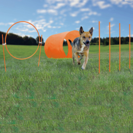 OH Agility kit outdoor