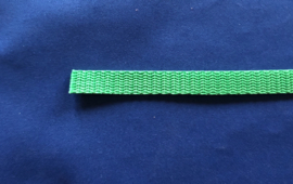 Nylon band 10 mm groen
