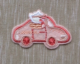 auto zalm