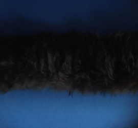 Bont 6 cm breed donker bruin