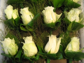 Corsage witte roos