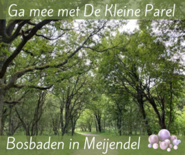 Forest Bathing | 3 december 2023 | 14.00-16.00 uur | Meijendel, Wassenaar