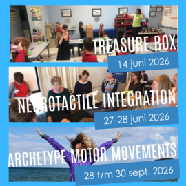 MNRI® Basis + PO | Treasure Box (14.06.2026) + NeuroTactile (27-28.06.2026) + Archetypes (28-30.09.2026)
