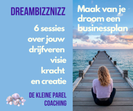 DreamBizznizz Training