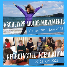 MNRI® BASIS | Archetypes (30.05-01.06.2026) + NeuroTactile (27-28.06.2026) | The Netherlands