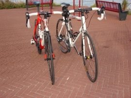 B.F.S. BIEMAN FIETS STANDAARD