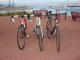 B.F.S. BIEMAN FIETS STANDAARD