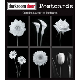 DarkroomDoor Postcards - Viva la Flora