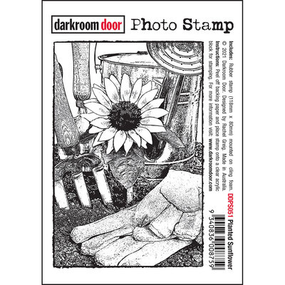 DarkroomDoor- Photo Stamp Planted Sunflower