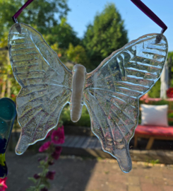 Grote doorzichtige vlinder