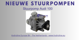 Stuurpomp Audi 100 1992 - 1994 - 048145155B