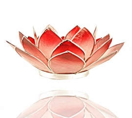 Lotus sfeerlicht rood- roze